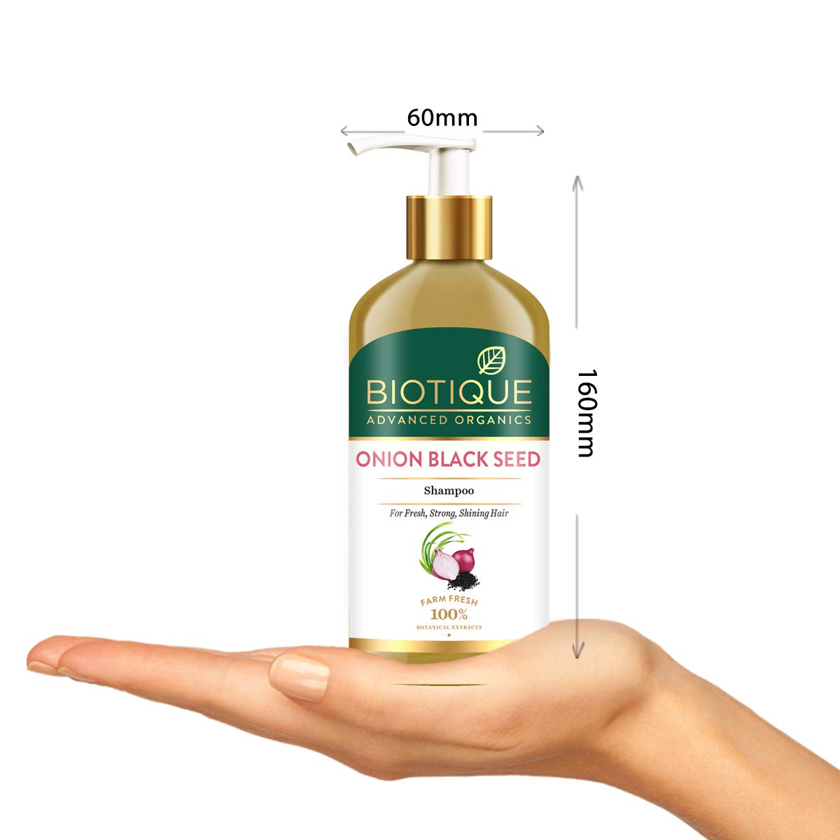 Biotique Onion Black Seed Shampoo For Fresh, Strong and Shining Hair, 300 ml | Hair Fall Control