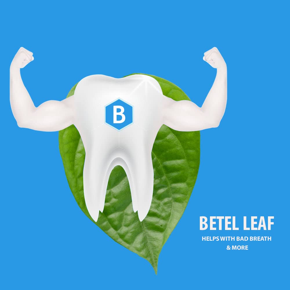 BENTODENT TOOTHPASTE Natural Oral Care Toothpastes for Entire Family Incl Kids (Betel Leaf)