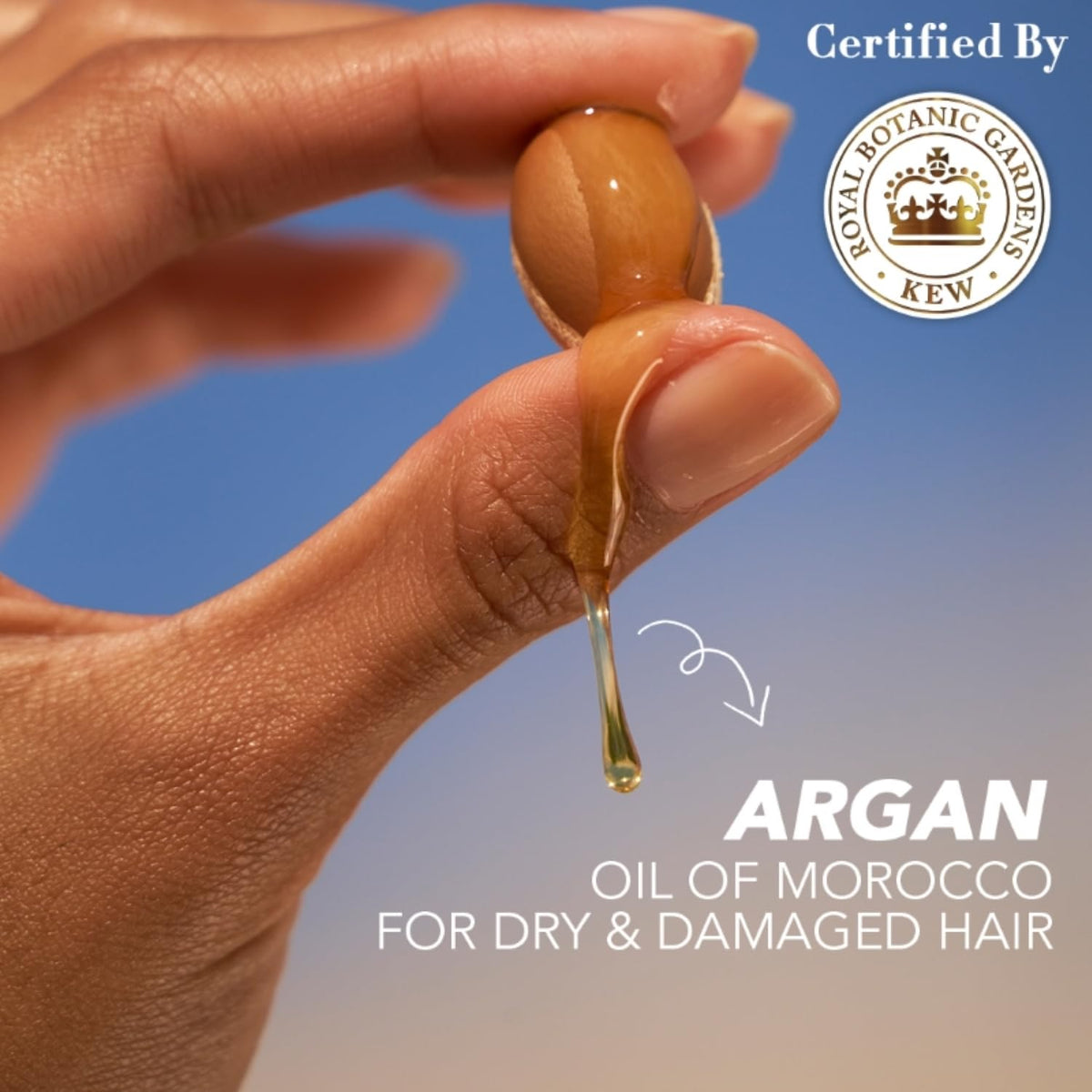 Herbal Essences bio:renew Argan Oil of Morocco SHAMPOO, 400ml, No Parabens No Colourants