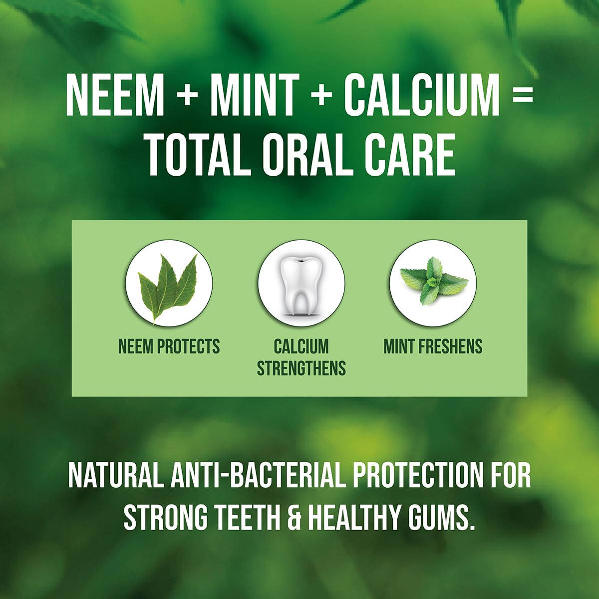 NEEM ACTIVE Toothpaste 200Gm With Ultra Soft Manual Toothbrush Free | 100% Vegetarian | Enriched With The Power Of Neem And Calcium |Antibacterial Protection |Mint For Freshness