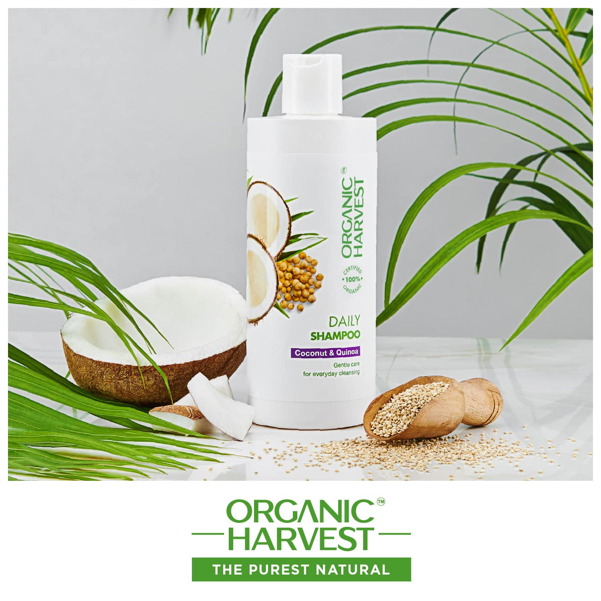 Organic Harvest Daily Shampoo with Coconut & Quinoa, For Men & Women, 500ml, Hair Care, Improves Hair Texture,100% American Certified Organic, Paraben & Sulphate Free