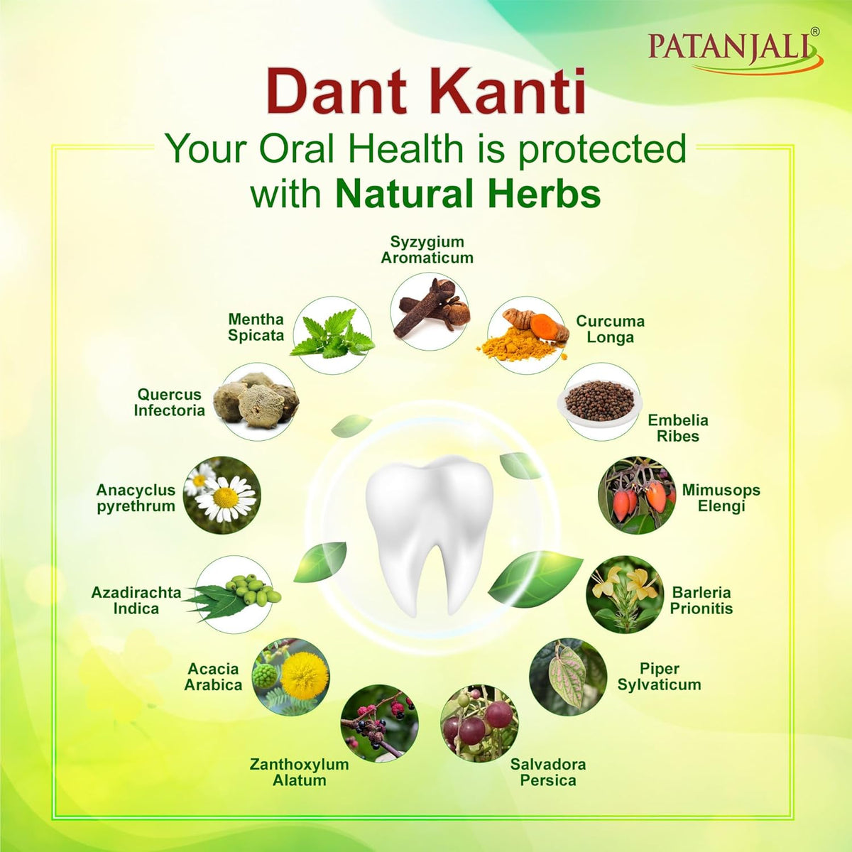 Patanjali Dant Kanti Natural Toothpaste (200g+100g), Big Saver Pack, Makes Teeth Strong, Tightens Gums, Gives Cavity Free Smile