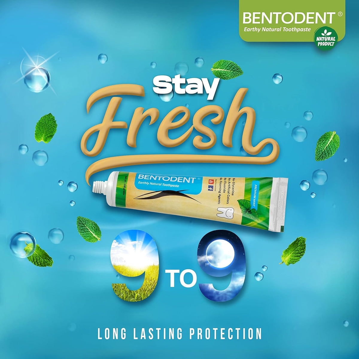 Bentodent Toothpaste - Natural Toothpaste For Entire Family Incl Kids - Your Daily Oral Detox, Cleanse & Remineralize - Fluoride Free (Premium Mint Pack)