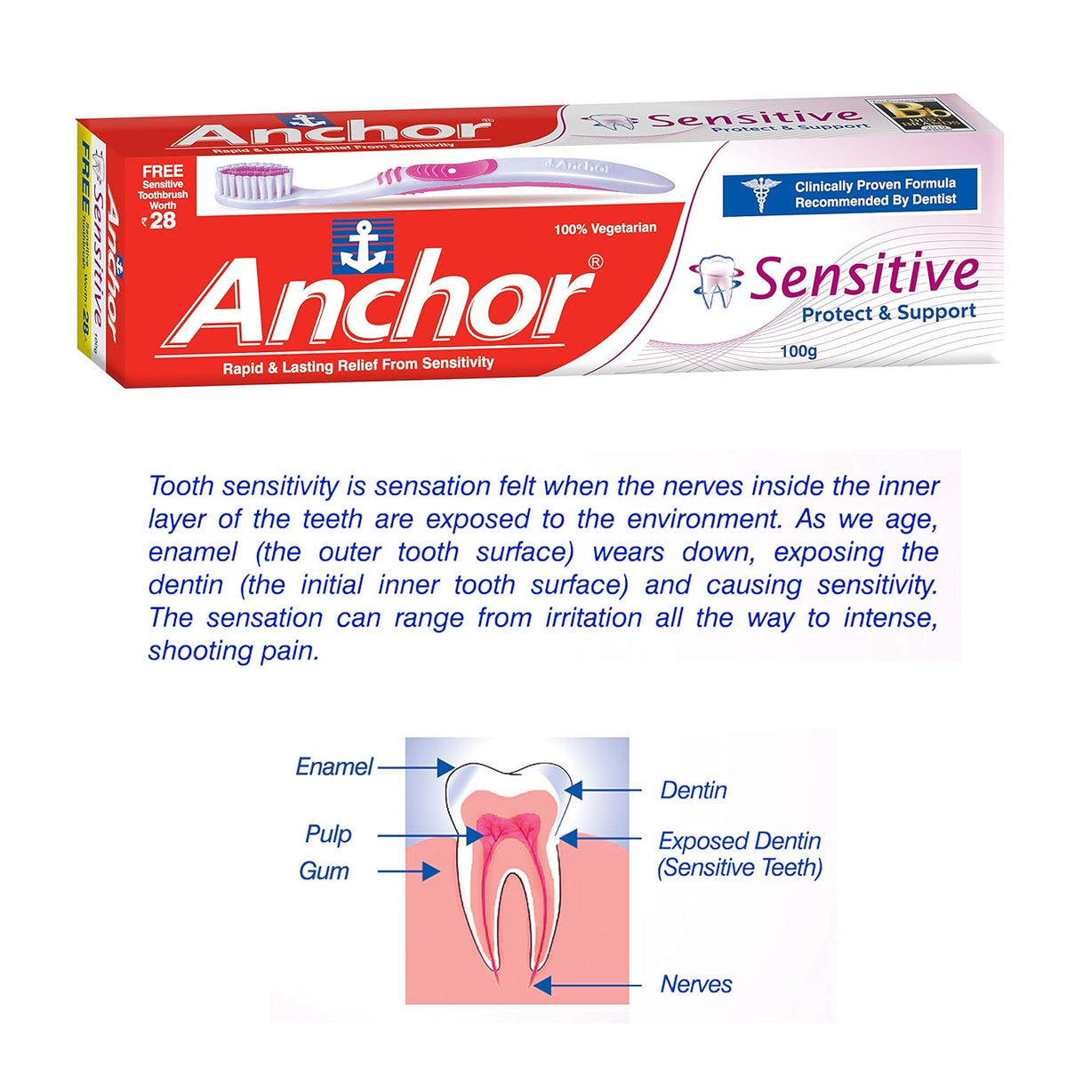 Anchor Sensitive Tooth Paste 100 gms with Toothbrush